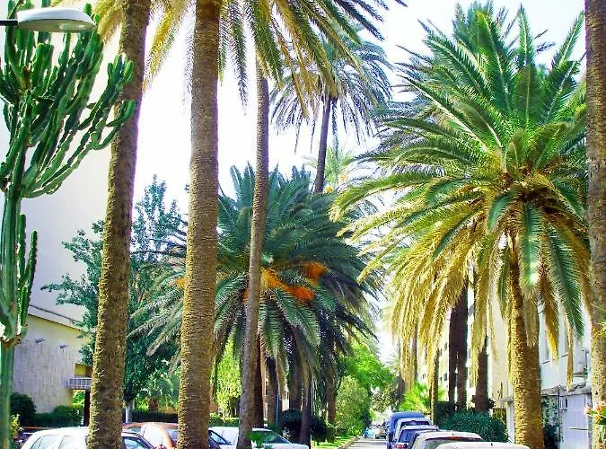 Playa Centro Vistas Mar トレモリノス